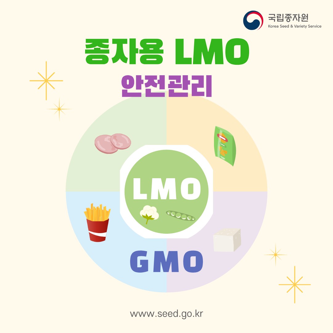 자가채총 종자 파종전 LMO 무상검사 지원